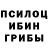 Галлюциногенные грибы Psilocybine cubensis Cesar Barreto