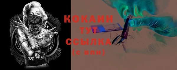 спиды Лиски