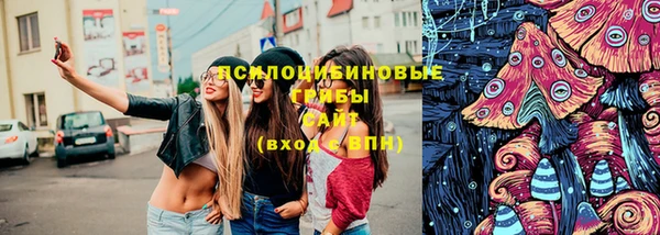 гидропоника Липки