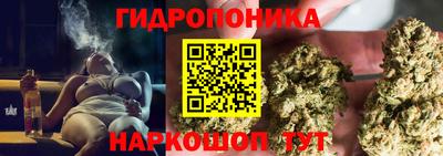 индика Балашиха