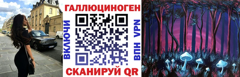 Псилоцибиновые грибы Psilocybine cubensis  Кашира 