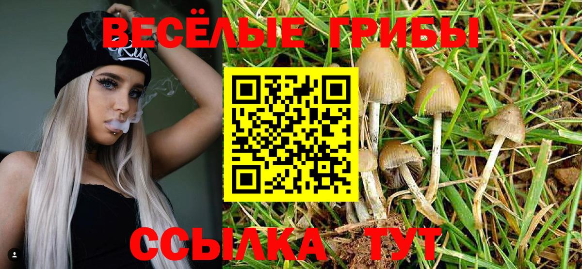 Псилоцибиновые грибы ЛСД  Вход с VPN  Кашира  Галлюциногенные грибы Psilocybine cubensis 
