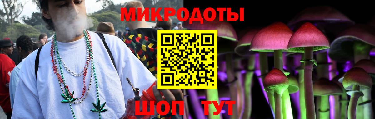 Псилоцибиновые грибы мухоморы Кашира